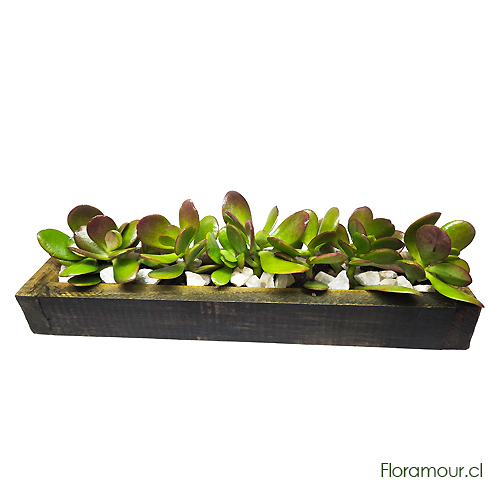 Jardinera peque&ntilde;a de tabla r&uacute;stica con jades naturales. Decoraci&oacute;n r&uacute;stica para casa interior, terraza u oficina. F&aacute;cil mantenci&oacute;n y muy larga vida. (35 x 8 x 10 cm.)